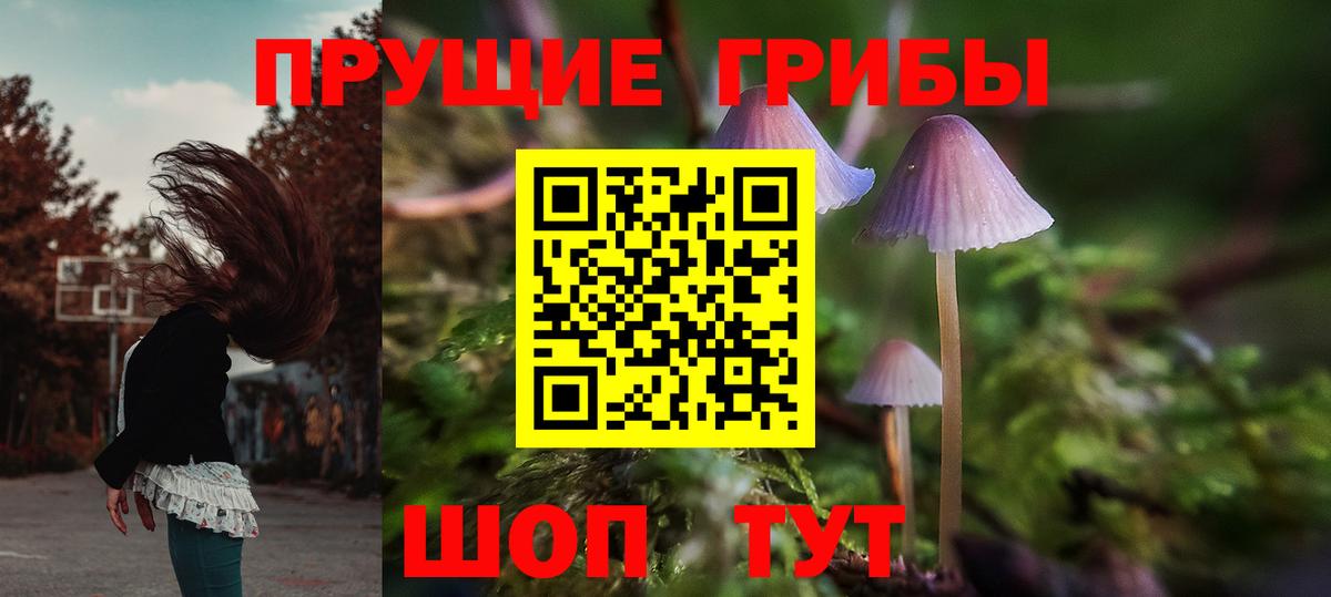 Псилоцибиновые грибы GOLDEN TEACHER Кувандык